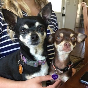 Meet your Posher, Briana